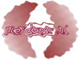  Nierdonor.nl: even storing 
